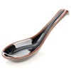 Japanese Black Tenmoku Glazed Ceramic Ramen & Soup Spoon