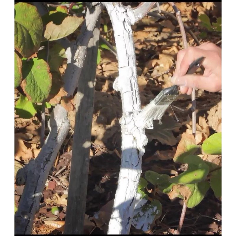 IV Organic White Wash, 1 Pint (WHITE)