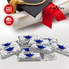 60 Graduation Cap Party Class of 2025 Miniatures Candy Bar