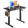 DEVAISE Electric Standing Desk Adjustable Height, 48" x 24" Whole