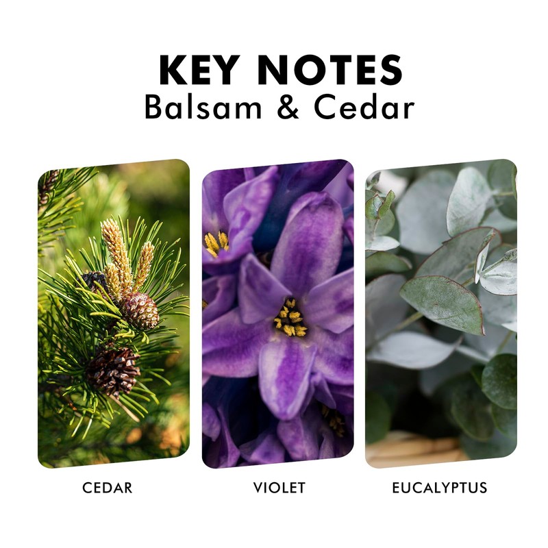 Xcleen Reed Diffusers for Home, Balsam & Cedar Diffuser with