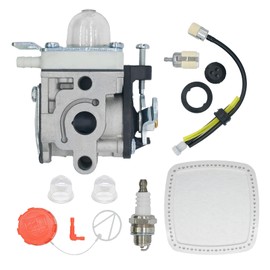 Eamonhigh PB2520 Leaf Blower Carburetor Replacement for Echo PB2520, A021004700 Carb Tune Up Kit with Spark Plug and Filter