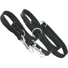 (Black) - 2.5cm Wide Cotton Web 6-Way European Multi-functional Dog