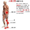 Kozzim Antibacterial Deodorizing Sponge Insole Work Insole Soft Breathable Sweat-absorbing