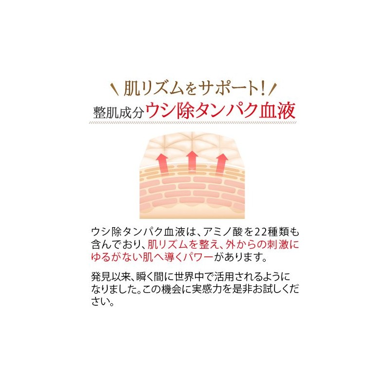 白酵スペチアーレクリーム 1個
