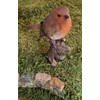 Vivid Arts British Birds Robin Size F