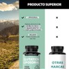 Beyond Vitamins | L-Glutation Liposomal Reducido | Potenciado con L-Glutamina,