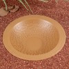 Turtle Bathing Pool Small for Reptiles & Amphibians - Resin