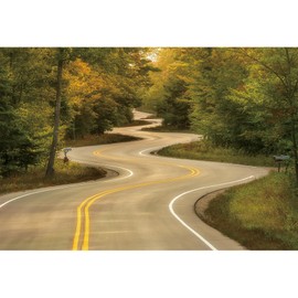 dnldliq 10x7ft Rural Road Backdrop Green Forest Tree Countryside Highway Photography Background Travel Landscape Baby Newborn Birthday Party Decoration Banner Men Kids Portrait Wallpaper