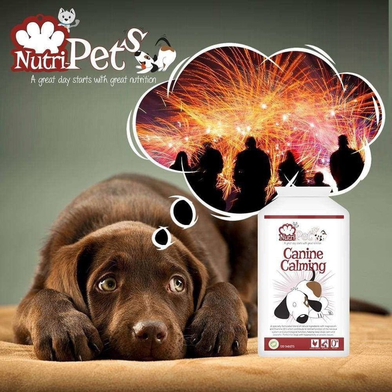 Canine Calming - Premium Quality Formula - Relieves Stress &