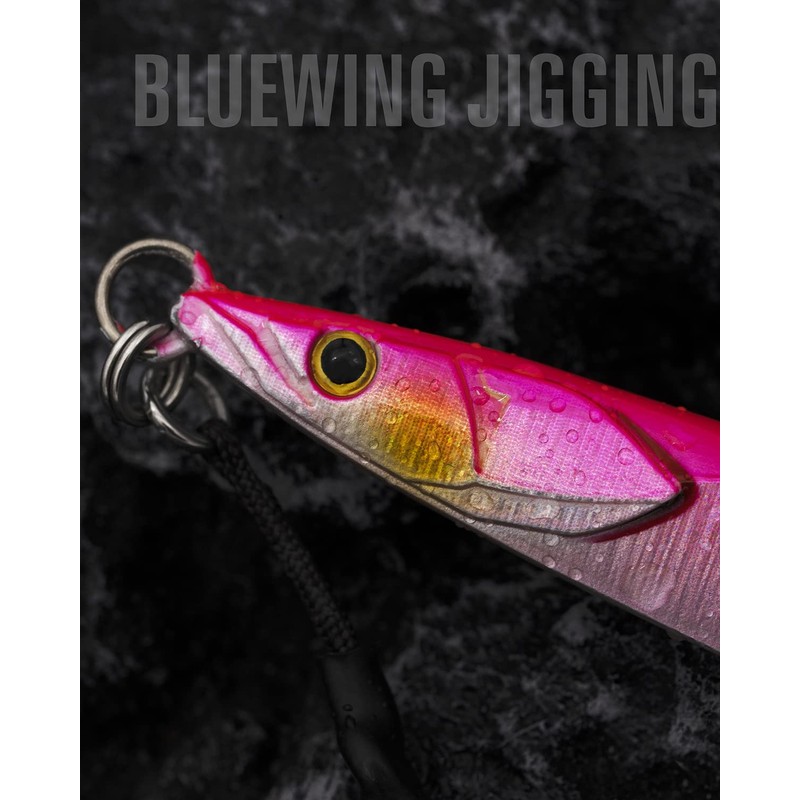BLUEWING Fishing Saltwater Jigs Speed Jigging Slow Jigging, Jig with