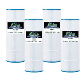 HANXER C-7483 Swimming Pool Filter Replacement for FC-1225, PA81, Filbur FC-1225, Hayward SwimClear C-3020, C-570, C3025, CX580XRE, Darlly 70811, 81 Sq.Ft. Filter Cartridge 4 Pack