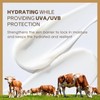 Beef Tallow Sunscreen SPF 50+, Organic Sun Cream, Tallow Balm