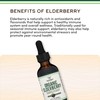 Organic Elderberry Liquid 2 Fl Oz (60 Servings) - Tincture