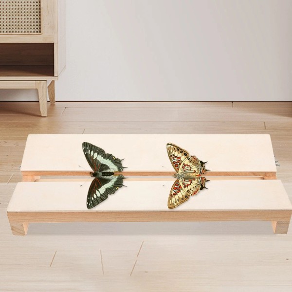 None Insect Pinning Board Specimen Display Butterfly Tool Baby Wing