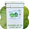 Mow Less Fine Fescue Grass Seed (Mow Less Fine Fescue,
