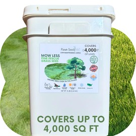 Mow Less Fine Fescue Grass Seed (Mow Less Fine Fescue, 4000 Sqft Pail)
