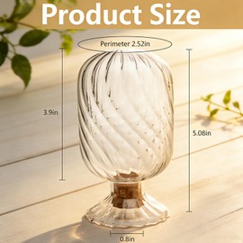 Helix Shaped Glass Match Cloche with Striker (Matches Not Included)