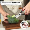 Kitchen Cooking Shears Heavy Duty Kitchen Scissor with, Detachable, All