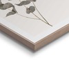 REINDERS Eucalyptus Framed Picture - MDF - 40 x 50