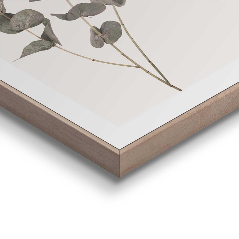 REINDERS Eucalyptus Framed Picture - MDF - 40 x 50