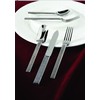Fortessa Acqua 18/10 Stainless Steel Flatware, 5 Piece Place Setting,