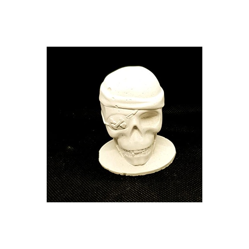 Reef-Geeks Novelty Growout Skull, Coral Frag plug, frag rock, frag