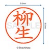 シャチハタ 印鑑 ハンコ ネーム9 XL-9 印面9.5ミリ 柳生