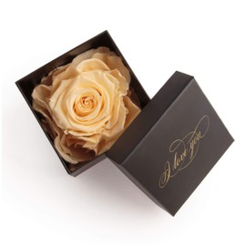 Infinity Rose Preserved Rose Box I Love You Gift for Women, black-beige