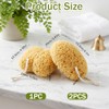 piezas de esponja de baño, esponjas marinas naturales para ducha,