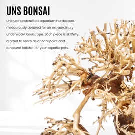 Ultum Nature Systems Bonsai - Handcrafted Hardscape Driftwood for Aquarium, Terrarium, Vivarium, Natural Aquascape Hardscape Decorations, Aquascaping Hardscape for Live Aquatic Plants - 002, Medium