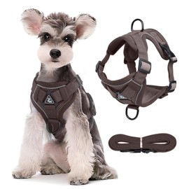 PETCUTE Dog Harness for Dogs, Adjustable Chest Harness for Small Dogs with Reflective Stripes and 1.5 m Dog Lead, Breathable, Escape-Proof, No Pull Harness for Medium and Large Dogs