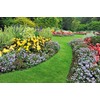 Flexible Garden Lawn Grass Edge 9m x 100mm Dark Green