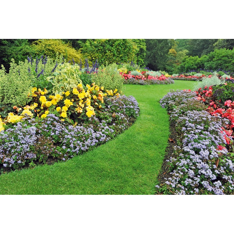 Flexible Garden Lawn Grass Edge 9m x 100mm Dark Green