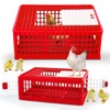 GlikCeil 2 Pcs Poultry Carrier Crate 3 Door Chicken Transport