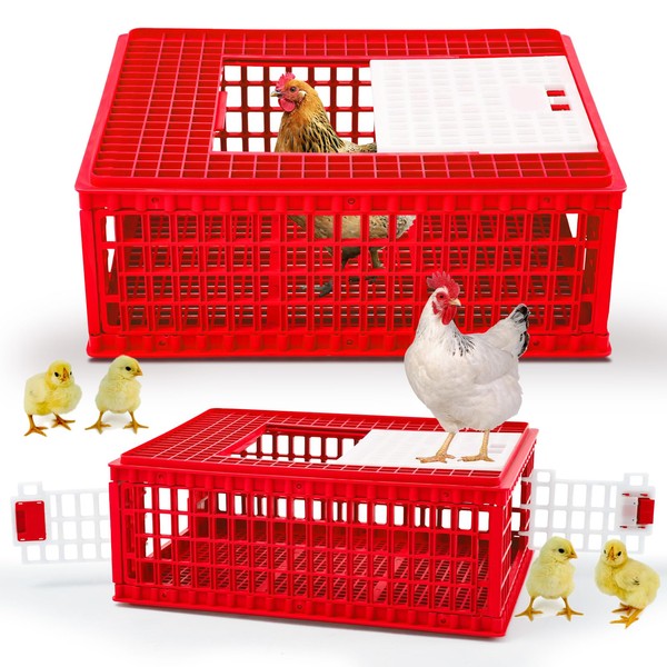 GlikCeil 2 Pcs Poultry Carrier Crate 3 Door Chicken Transport