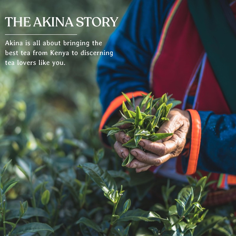 Akina Single-Origin Peach Black Tea Bags | 100% Naturally Fruit
