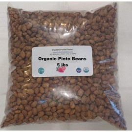 Pinto Beans, 5 Pounds Dried, USDA Certified Organic, Non-GMO Bulk, Product of USA, Mulberry Lane Farms