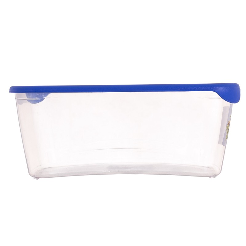 CURVER 2045137 Fresh & Go 3 Litres Cool Box Plastic