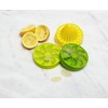 Full Circle Lemon Drops Citrus Ice Cube Infusion Set with