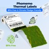 Phomemo roll label 80-102mm