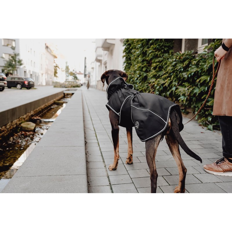 Hunter Uppsala Dog Coat Soft Shell Waterproof Windproof, 50, Black