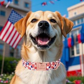 Babole Pet American Flag Dog Collar - 4th of July Dog Dog Collars for Large Dogs, Adjustable Independence Day Metal Buckle Patriotic Dog Collar L