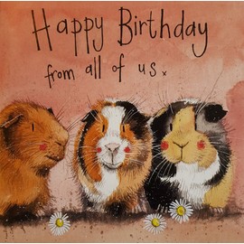 Alex Clark Three Guinea Pigs Birthday Card