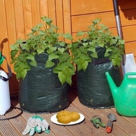 Kingfisher PB1 Potato Grow Bag - Black (Pack of 2)