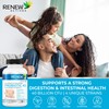 Renew Actives RENEW ACTIVES Double Strength Probiotic 40 Billion CFU