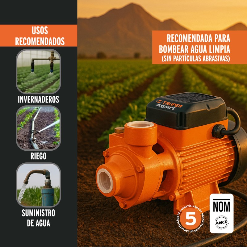 TRUPER BOAP-1 1 HP Peripheral