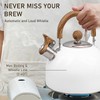 Whistling Tea Kettle for Stovetop, 2.5L Stainless Steel Tea Pot