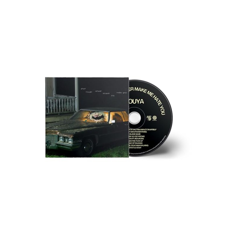 They Could Never Make Me Hate You