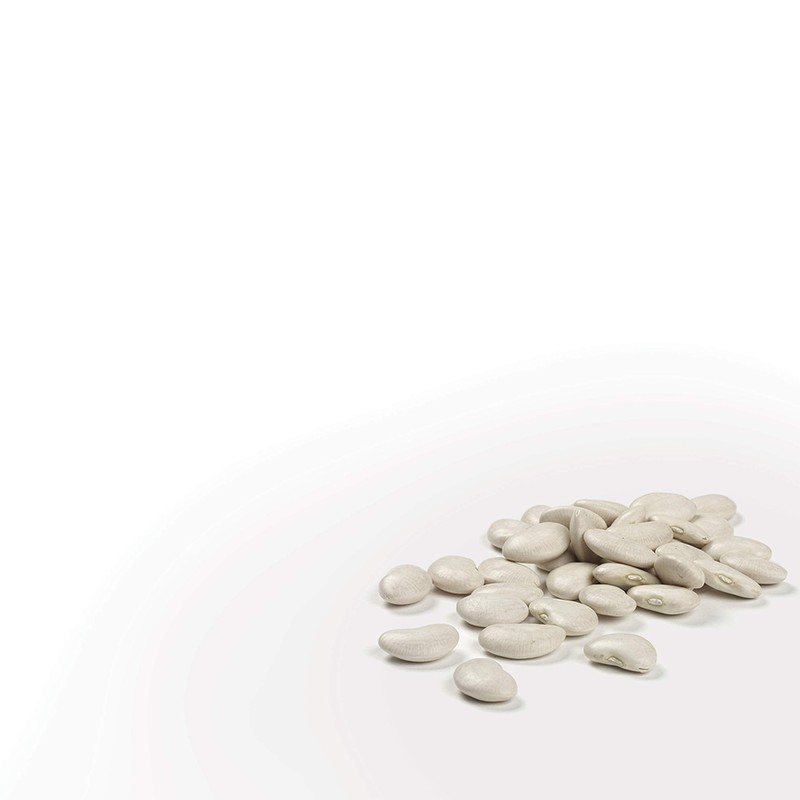 Camellia Brand Dried Cannellini Beans – Premium White Kidney Beans